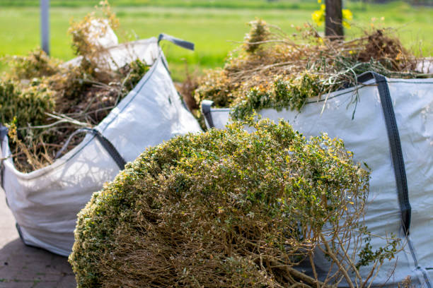 Best Yard Waste Removal  in Ina, IL